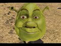 Shrek Speed paint!