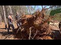 Storm Clean-Up! Tornado Damage with Lots of Trees Down. Getting them to the Sawmill!