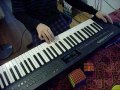 Emilie Autumn - Unlaced Keyboard Cover