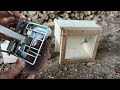 Judas Rat Trap - Using A Pet Rat To Catch Nasty Invasive Wild Rats. Mousetrap Monday