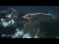 BIG SUR FROM ABOVE 1HR Drone Film by Nature Relaxation™ + Music & Ocean Sounds