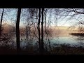 Misty Autumn Morning in New England 🍂 (4K Walk) | Binaural Audio (Nature & Walking Sounds)