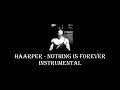 HAARPER - NOTHING IS FOREVER (Instrumental)