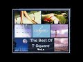 The Best Of T-Square / The Square Vol. 2