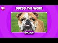 Guess the WORD by Emoji 🤯😍 Emoji Quiz