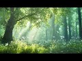 Relaxing Music In The Forest | Soft Rain with Piano Music | Calming, Relexation, Sleep, Study