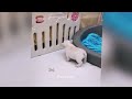 So Funny! Funniest Cats and Dogs 2024😜New Funny Animals 2024😿🐶