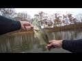 Cast to catch of a LARGEMOUTH BASS on the SPINNERBAIT in November. This little guy hit hard!!!