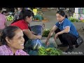 How to Harvest Oriental Pickling Melon, Goes To The Market Sell -  and Cooking | Tieu Vy Daily Life