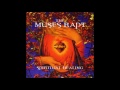 The Muses Rapt - Spiritual Healing (Juan, Domi & Jörg Remix)