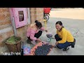 The baby returned to his family, Mai and  Harvesting palm fruit to sell | Tương Thị Mai​