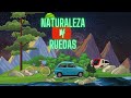 Nogal árbol 🌳 review en español | Curiosidades sobre su uso y frutos 🥜