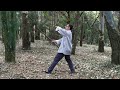 Tutorial de Tai Chi Qi Gong para SANAR y REVITALIZAR tus organos (Estomago y Bazo/prancreas)