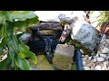 New pond for redfoot tortoises