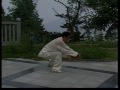 Chen Taiji Xin Jia YiLu