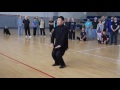 Tai Chi Forms 2 - Chen Xiao  Wang