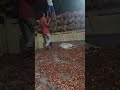 cara petak buah di mlm hari