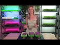 Growing Microgreens in Soil vs Hydroponics: No Fertilizer Challenge