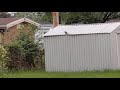 woodpecker on a tin roof