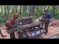profesional cara tebang kayu mahoni !! langsung dirajang gergaji srekel rakitan