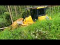 trator de esteira D51 komatsu cortando caminho parte 9