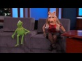 Jordan Peterson on Jimmy Kimmel Live (Kermit The Frog)