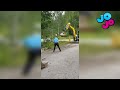 Best Funny Videos 🤣 - People Being Idiots / 🤣 Try Not To Laugh - By JOJO TV 🏖 #66