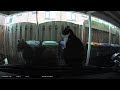 Onze twee luie katten op de dashcam!