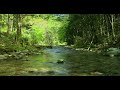 4K Natural environmental sounds ASMR / Sounds of rivers with spring water / Chirping birds