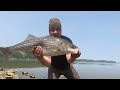 Striped Bass Fishing 2023 Spring Season along the Hudson River