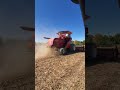 503 combine cutting beans with 20ft head