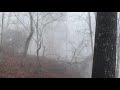 Smoky mountains, creepy winter fog in the woods.