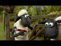 Shaun the Sheep 🐑 Special Sheep! - Cartoons for Kids 🐑 Full Episodes Compilation [1 hour]