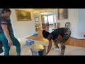 At Home Workout