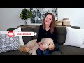 3 QUESTIONS GOLDENDOODLE PUPPY OWNERS ASK (& My Answers)