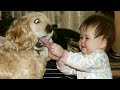 Videos Graciosos de Perros y Bebés 😂 Bebés y Cachorros Creciendo Juntos #3 | Espanol Funniest Videos