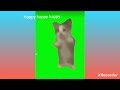 happy happy happy diferentes velocidades 😸😺😿 #happy happy happy #viral #shortvideo