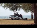 Elephant Attack on a Vehicle and Promoting Awareness on Human-Wildlife Coexistence