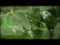 Rhythm Of The Rain [Lyrics Cover]