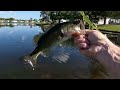 Best baits for April bass fishing in TINY ponds!!