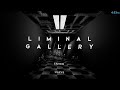Liminal Gallery Any% Speedrun 4:22 (FWR)