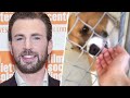 10 Celebrities With Their SPECIAL Pet Animals