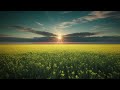 Growing Nature | 528Hz | Harmony of the Heart - music for the heart and the body tranformation