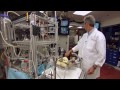 Biomedical Engineering For Students