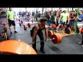 Vegan Athlete in Speed Clean Ladder