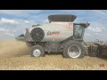 GLEANER Combines Harvesting Wheat