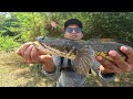 Lure Fishing - Wallago Attu/Helicopter Catfish - Snakehead -Carp