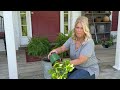 Spring Porch Refresh~How to use Antiques as Planters~Decorate with Me