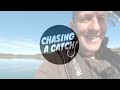 Harbour BAIT & BERLEY fishing | Shallow stray lining 2m of water | Snapper fishing NZ