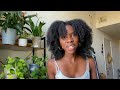 The Remedy to Hair Growth: My Holistic Hair Journey